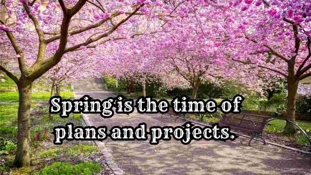 Spring is the time of plans and projects | Aesthetic Bullet Journal Quotes