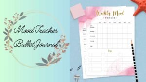 Mood tracker bullet journal